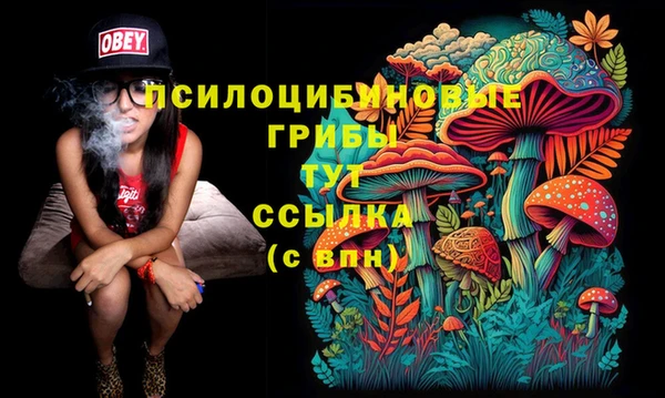 наркотики Алексеевка