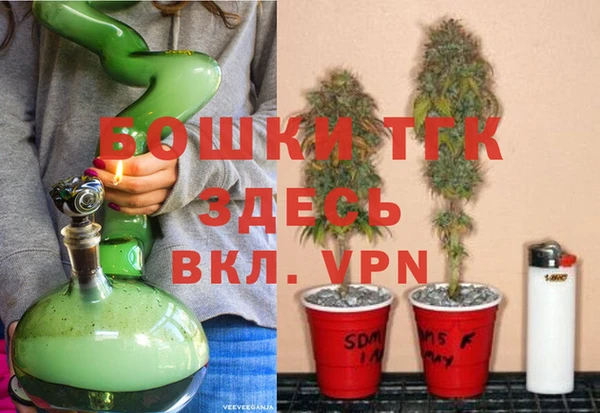 ПСИЛОЦИБИНОВЫЕ ГРИБЫ Алексин