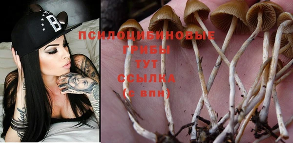 ПСИЛОЦИБИНОВЫЕ ГРИБЫ Алексин