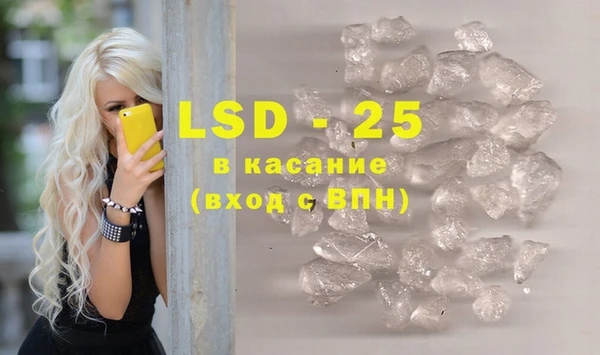 ПСИЛОЦИБИНОВЫЕ ГРИБЫ Алексин