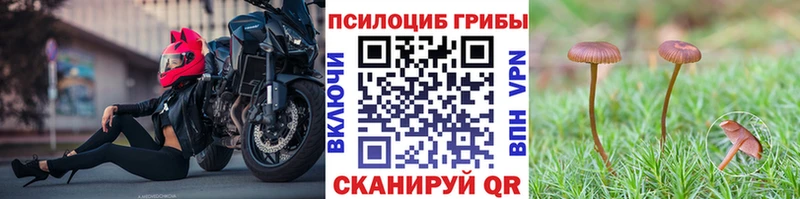 даркнет сайт  Самара  площадка клад  Псилоцибиновые грибы Psilocybine cubensis 